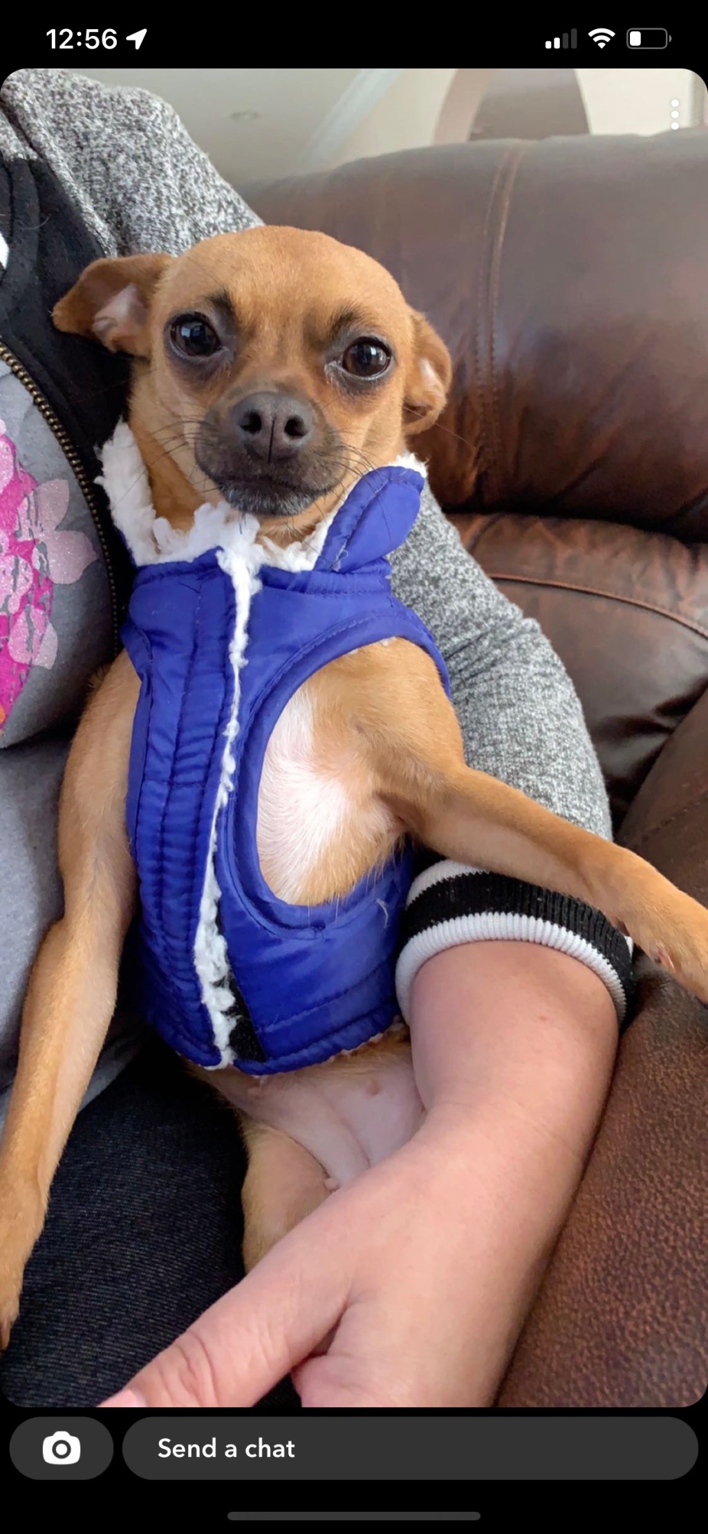 “Untitled” by Pedro Guerra&nbsp;Jr.