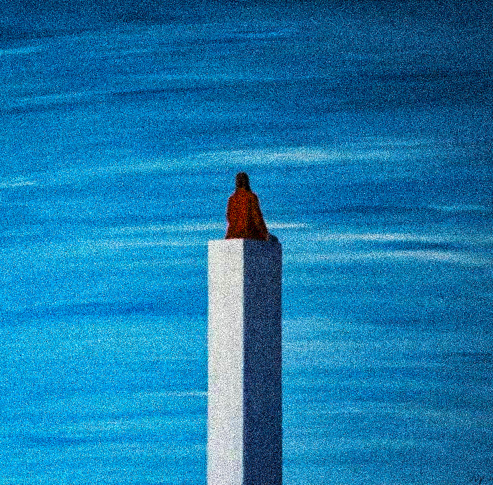 WasteBy Pedro Guerra